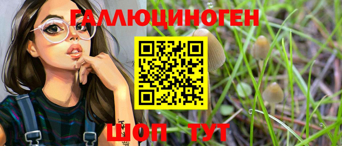 Псилоцибиновые грибы мицелий Кировск